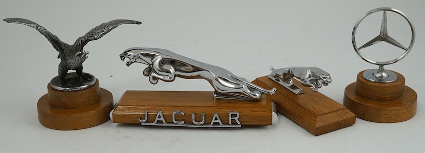 Four car mascots including; a 1920s Alvis eagle mascot designed by Charles Paillet, a Mercedes-Benz mascot, and two Jaguar mascots of different sizes, all mounted on oak bases. Condition - fair to good